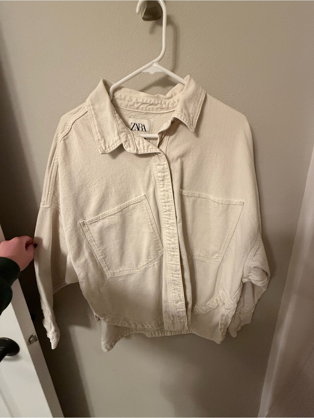 Zara Button Jacket